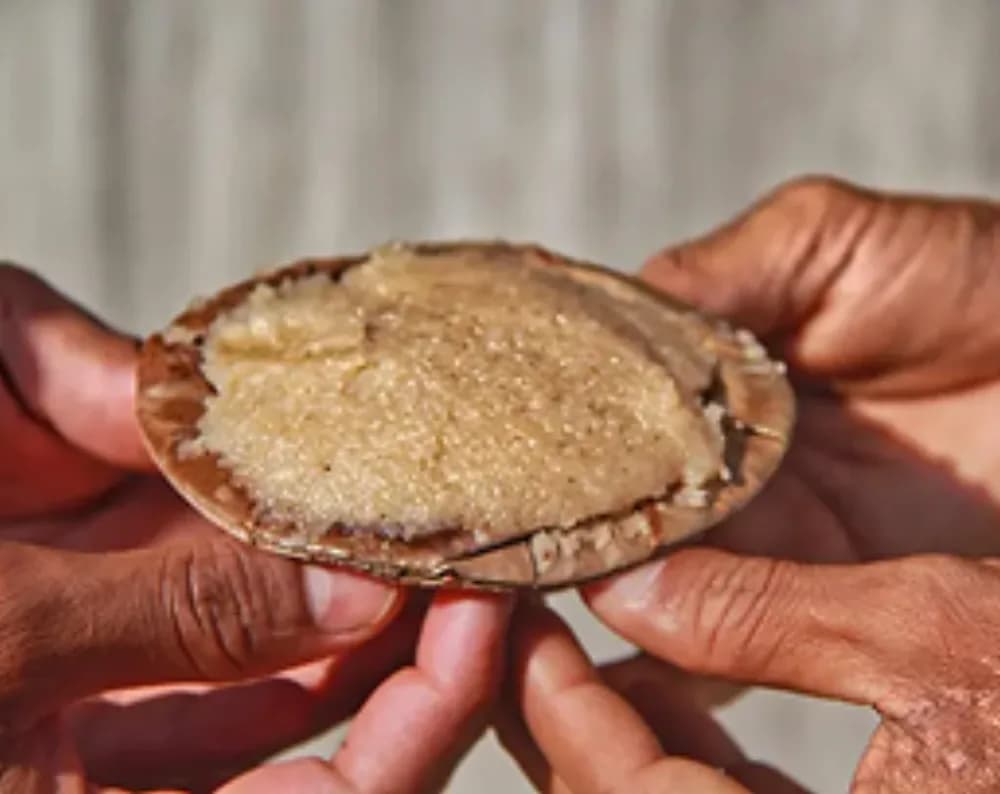 Hands holding a leaf bowl of prasadam