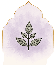 Illustration of sacred tulsi leaves