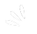 Gita Daan Arrow